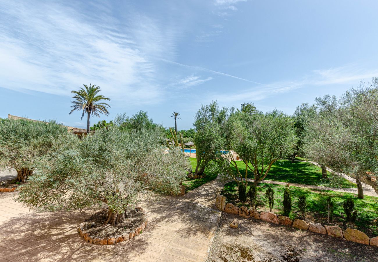 Agrotourismus in Campos - YourHouse Son Sala Agroturismo Vina Vella - doble