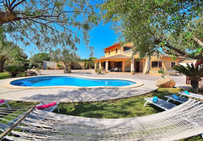 Ferienhaus, Schwimmbad, Mallorca, Sonnenliegen, Sonnenbaden, Urlaub