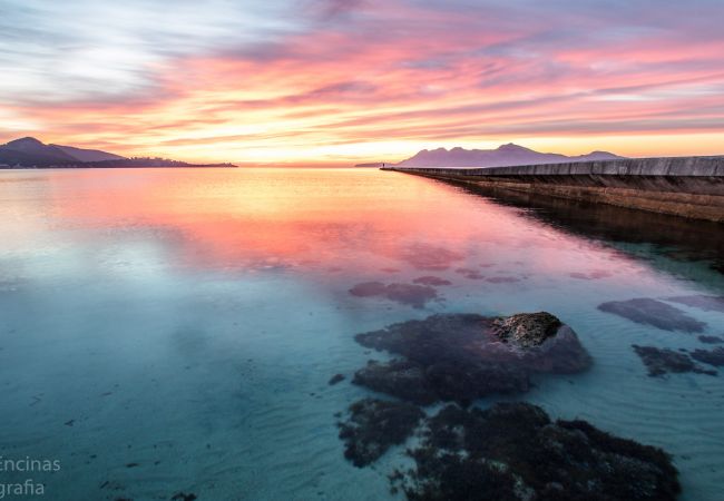 Villa in Pollensa - Villa La Sort Gran in Pollensa By home villas 360 Villa in Pollensa - Villa La Sort Gran in Pollensa By home villas 360