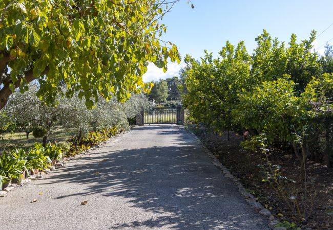 Villa in Caimari - My Rooms Ca Na Mavi Villa in Caimari - My Rooms Ca Na Mavi