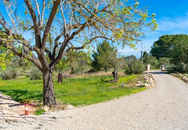 Villa in Alcúdia - Villa Son Fe by home villas 360 Villa in Alcúdia - Villa Son Fe by home villas 360