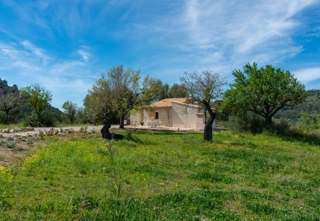 Villa in Alcúdia - Villa Son Fe by home villas 360 Villa in Alcúdia - Villa Son Fe by home villas 360