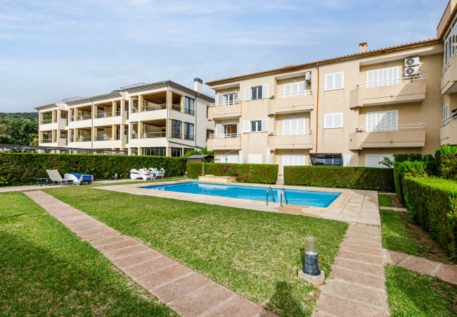 Ferienwohnung in Pollensa - Yourhouse El Xiprer Llenaire Ferienwohnung in Pollensa - Yourhouse El Xiprer Llenaire