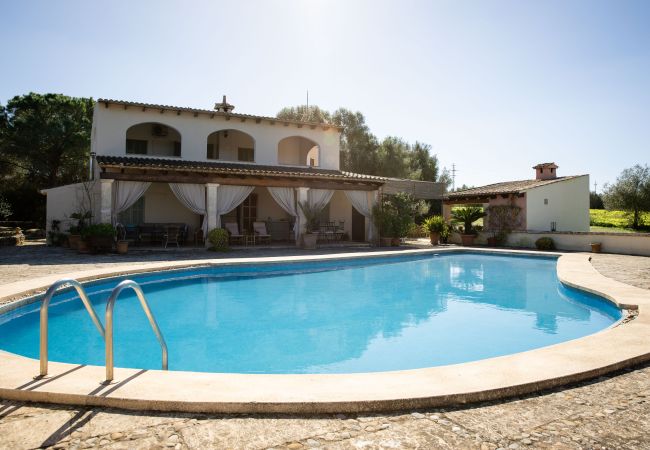 Villa in Ariany - YourHouse Son Bachs