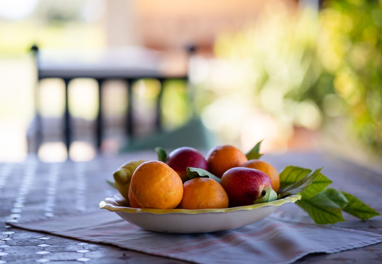 Villa in Ariany - YourHouse Son Bachs