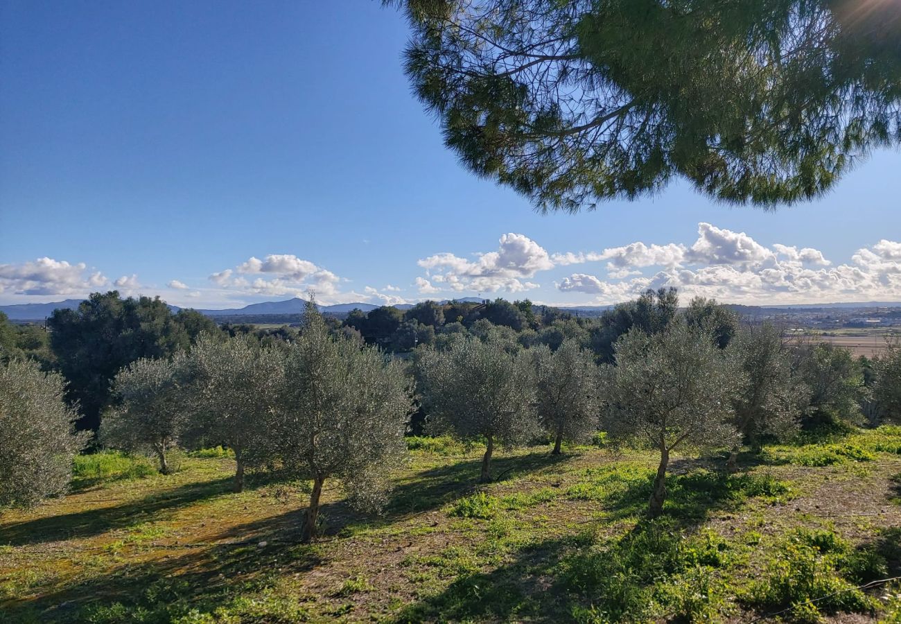 Agrotourismus in Santa Margalida - Agroturismo Buguemvillea by YourHouse