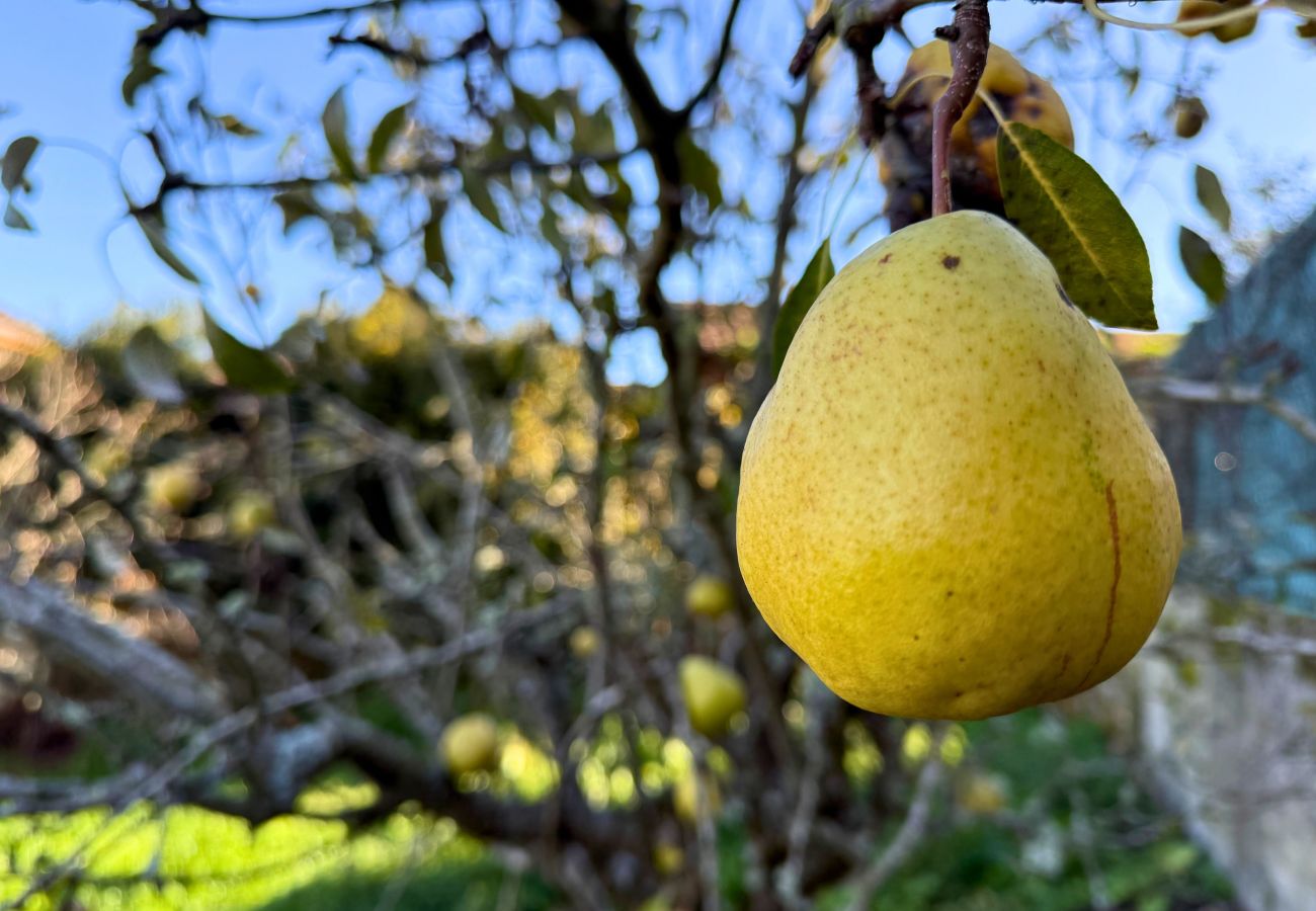 Ferienhaus in Sobrado do Bispo - YourHouse Casa Antonio