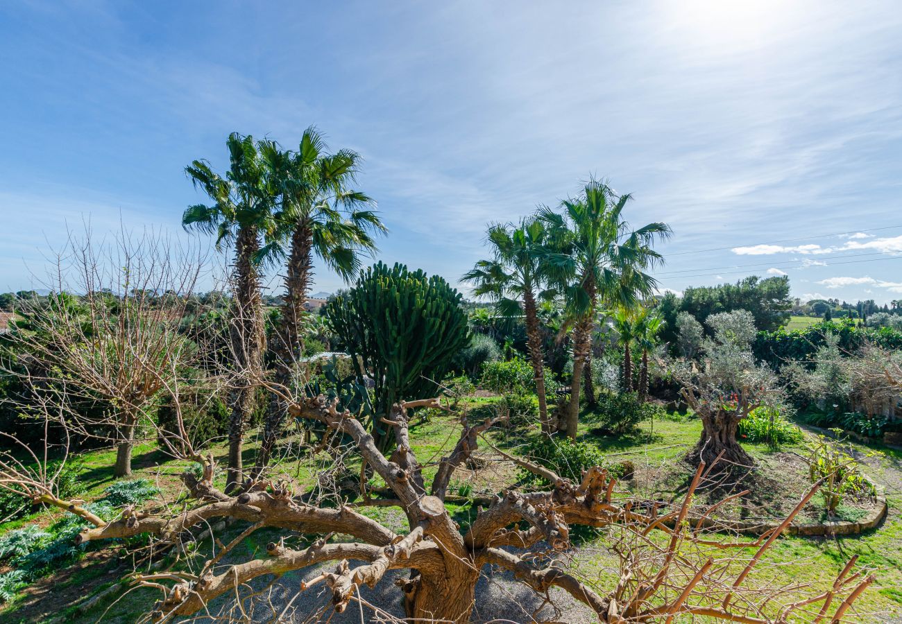 Ferienwohnung in Muro - YourHouse Can Prom