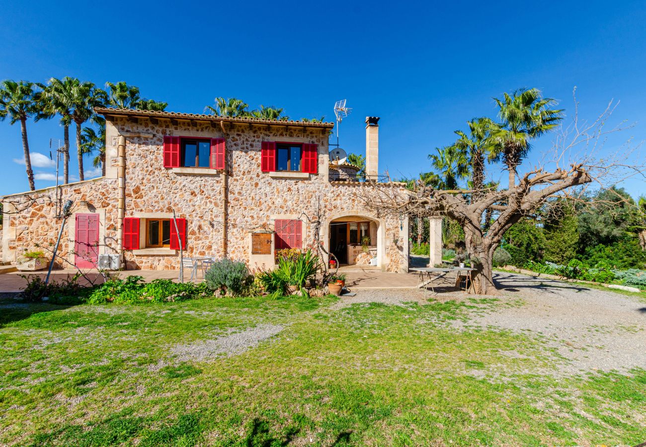 Ferienwohnung in Muro - YourHouse Can Prom