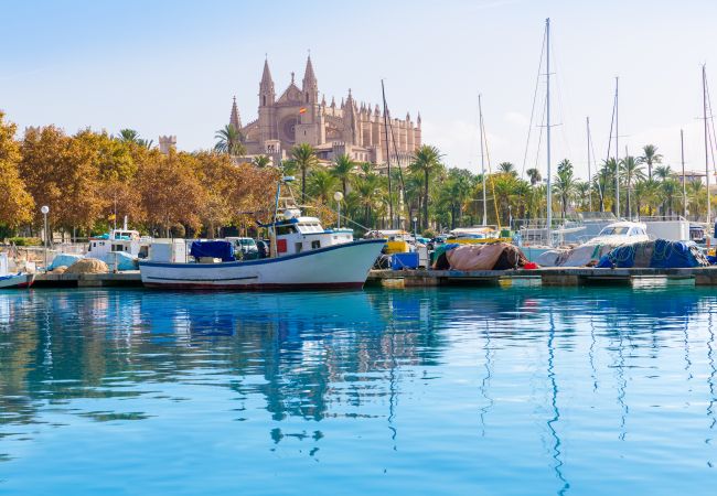 Country house in Santa Margalida - 054 Finca Es Bosquerró ETV/5362 by Mallorca Charme Country house in Santa Margalida - 054 Finca Es Bosquerró ETV/5362 by Mallorca Charme