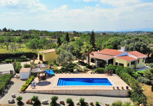 Spacious Finca, swimming pool, garden, nature, sunbathing