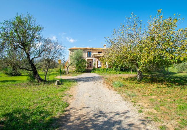 Country house in Buger - 126 Finca Son Tresco ETV/4382 by Mallorca Charme Country house in Buger - 126 Finca Son Tresco ETV/4382 by Mallorca Charme