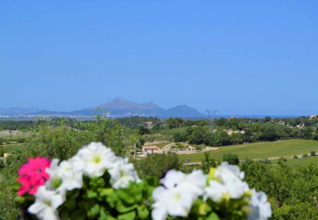 From 100 € per day you can rent your villa in Mallorca