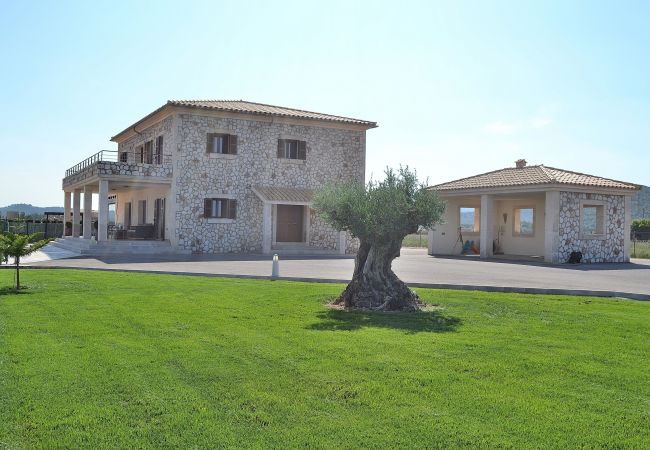 From 100 € per day you can rent your villa in Mallorca