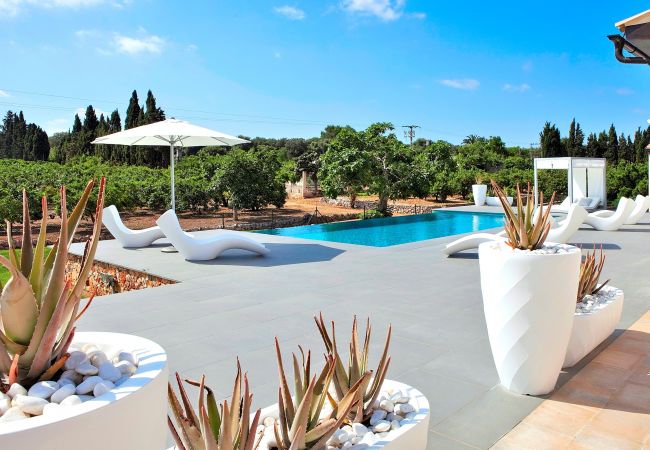 From 100 € per day you can rent your villa in Mallorca