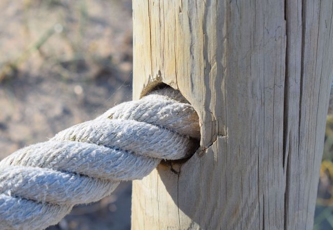 Country house in Santa Margalida - 184 Finca Estret ETV/3644 by Mallorca Charme Country house in Santa Margalida - 184 Finca Estret ETV/3644 by Mallorca Charme