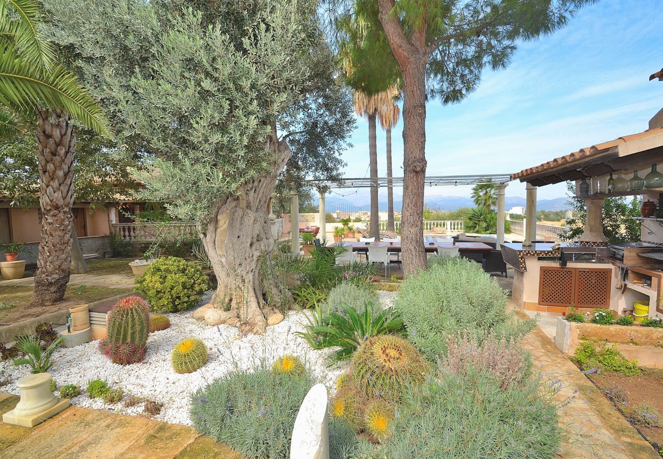House in Muro - 187 Villa Can Bisbe ETV/8522 by Mallorca Charme