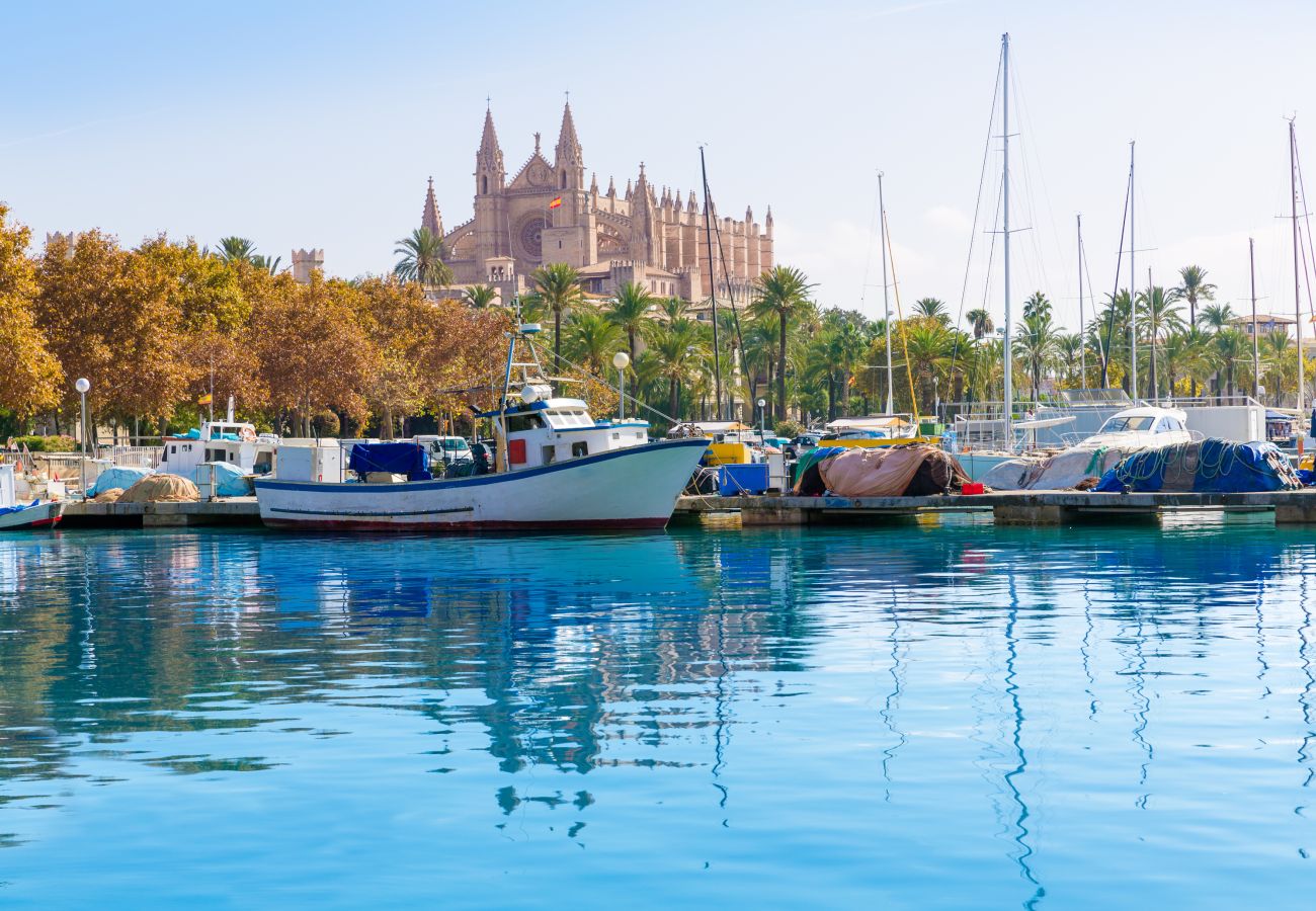 House in Alcudia - 206 Villa Isabel ET/2341 by Mallorca Charme