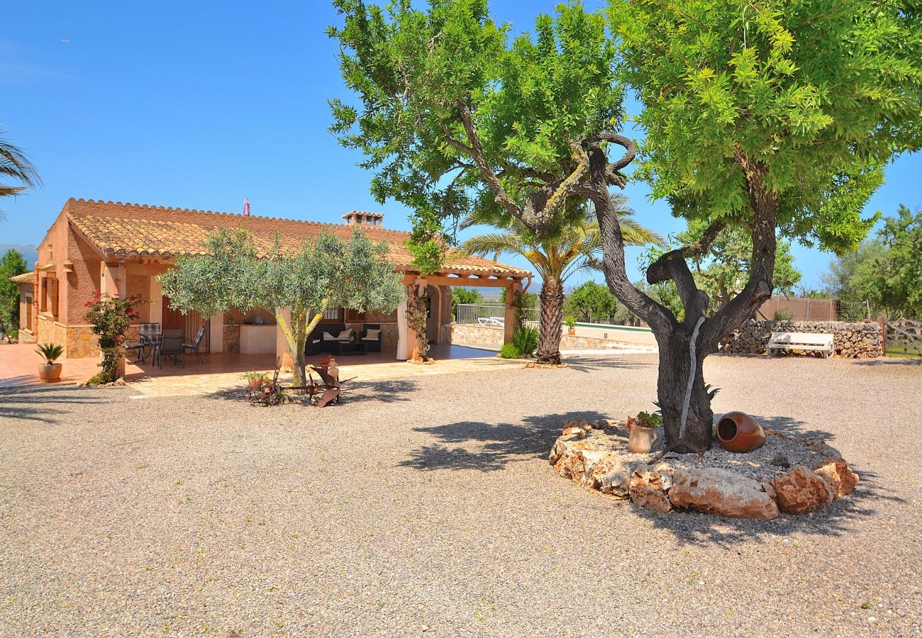 Country house in Santa Margalida - Finca Sa Caseta de Son Morro 230 by Mallorca Charm