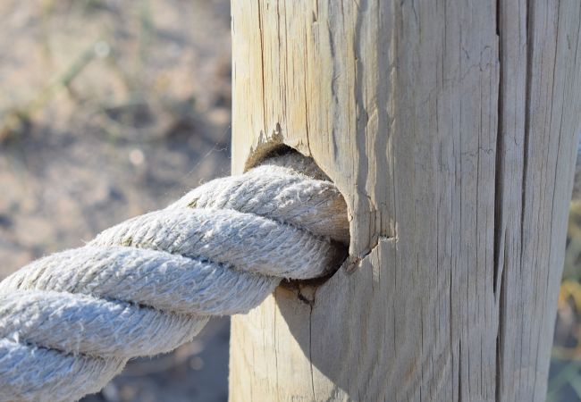 Apartment in Port d´Alcudia - 134 Apartamento Pins-Tugores ETVPL/13155 by Mallor Apartment in Port d´Alcudia - 134 Apartamento Pins-Tugores ETVPL/13155 by Mallor