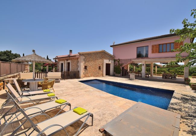 Finca, swimming pool, countryside, nature, sunshine