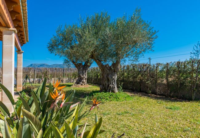 Country house in Sa Pobla - YourHouse Son Gallina