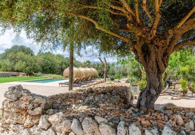 Farm stay in Costitx - Agroturismo Cal Tio 1, YourHouse Farm stay in Costitx - Agroturismo Cal Tio 1, YourHouse