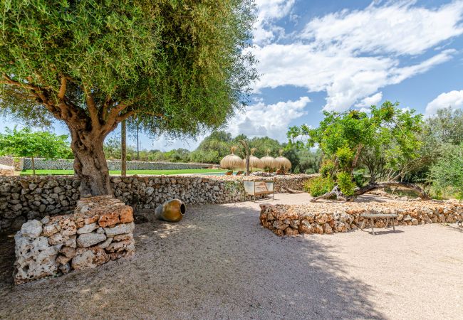 Farm stay in Costitx - Agroturismo Cal Tio 2, YourHouse Farm stay in Costitx - Agroturismo Cal Tio 2, YourHouse