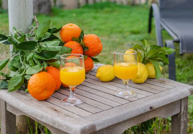 Apartment in Maria de la salut - Apartment in rural house, YourHouse Deulosal Apartment in Maria de la salut - Apartment in rural house, YourHouse Deulosal