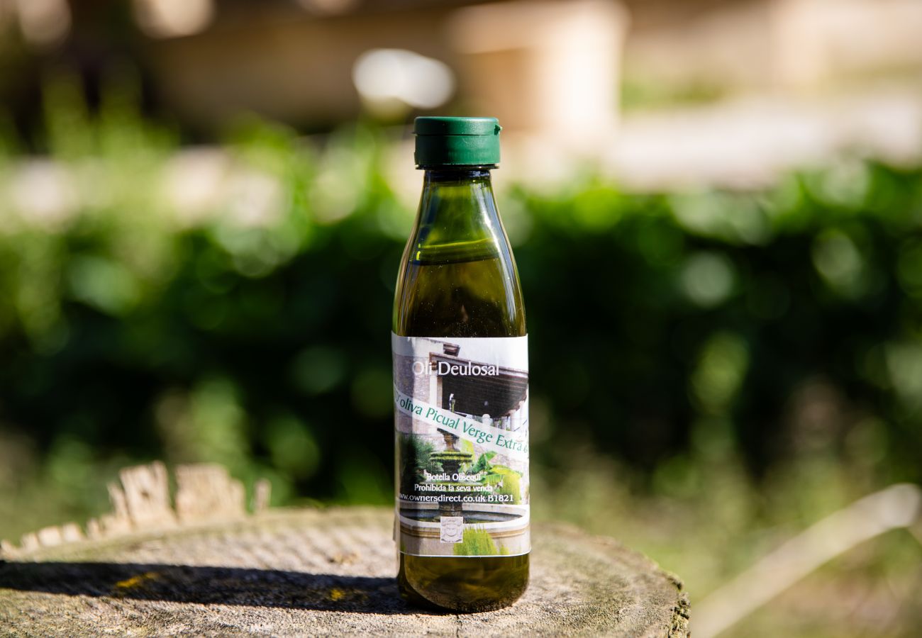 Apartment in Maria de la salut - Apartment in rural house, YourHouse Deulosal