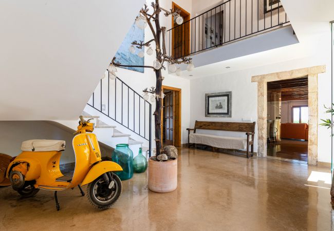 YourHouse Es Fiters