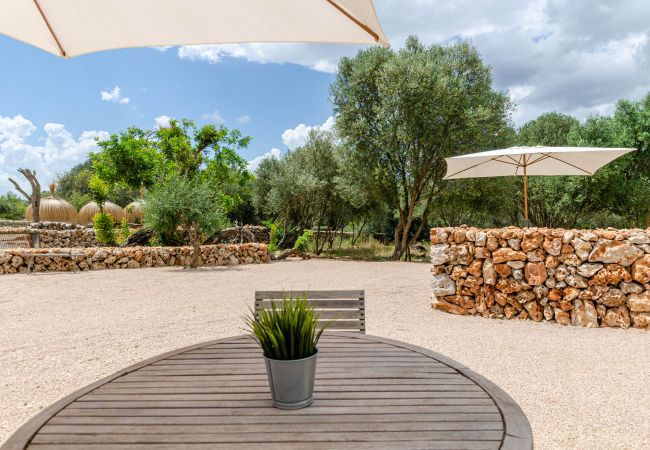 Farm stay in Costitx - Agroturismo Cal Tio 3 YourHouse Farm stay in Costitx - Agroturismo Cal Tio 3 YourHouse