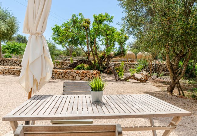 Farm stay in Costitx - Agroturismo Cal Tio 4, YourHouse Farm stay in Costitx - Agroturismo Cal Tio 4, YourHouse