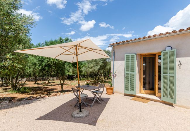 Farm stay in Costitx - Agroturismo Cal Tio 4, YourHouse Farm stay in Costitx - Agroturismo Cal Tio 4, YourHouse