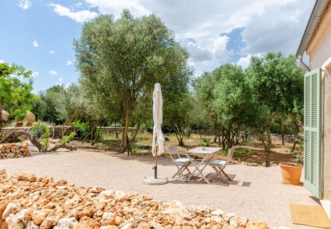 Farm stay in Costitx - Agroturismo Cal Tio 4, YourHouse Farm stay in Costitx - Agroturismo Cal Tio 4, YourHouse