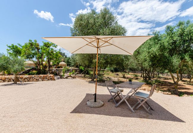 Farm stay in Costitx - Agroturismo Cal Tio 4, YourHouse Farm stay in Costitx - Agroturismo Cal Tio 4, YourHouse