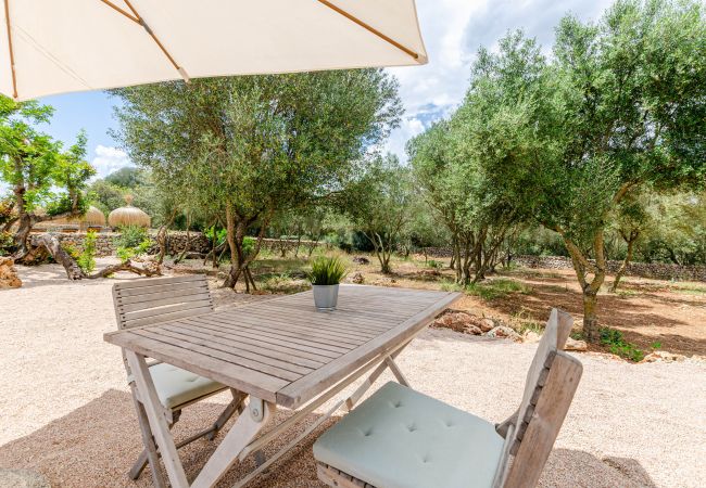 Farm stay in Costitx - Agroturismo Cal Tio 4, YourHouse Farm stay in Costitx - Agroturismo Cal Tio 4, YourHouse