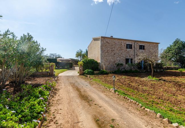 Villa in Felanitx - YourHouse Can Galeri Villa in Felanitx - YourHouse Can Galeri