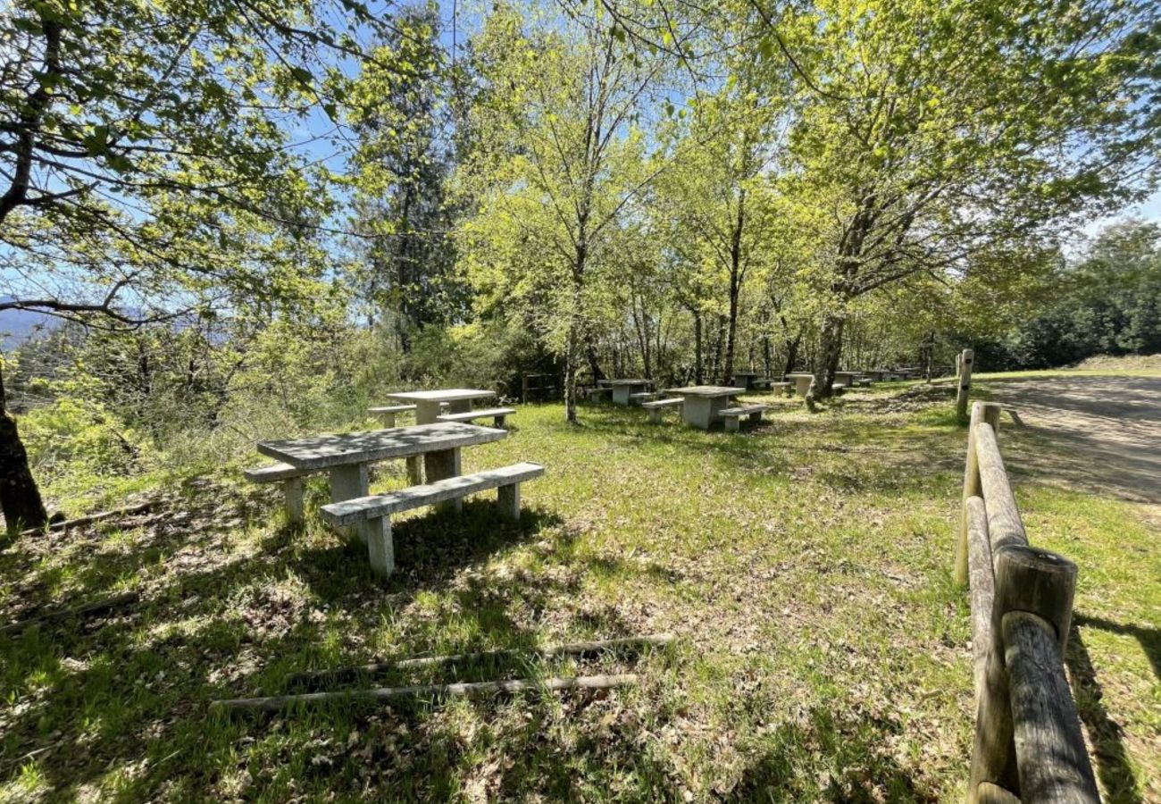 House in Ourense - YourHouse A Casa Da Corona