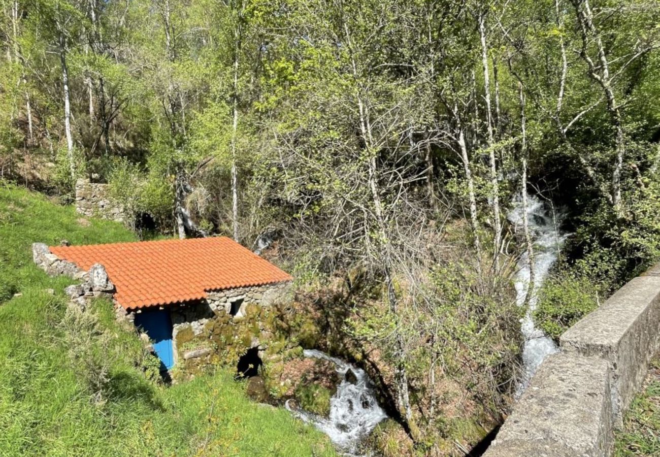 House in Ourense - YourHouse A Casa Da Corona
