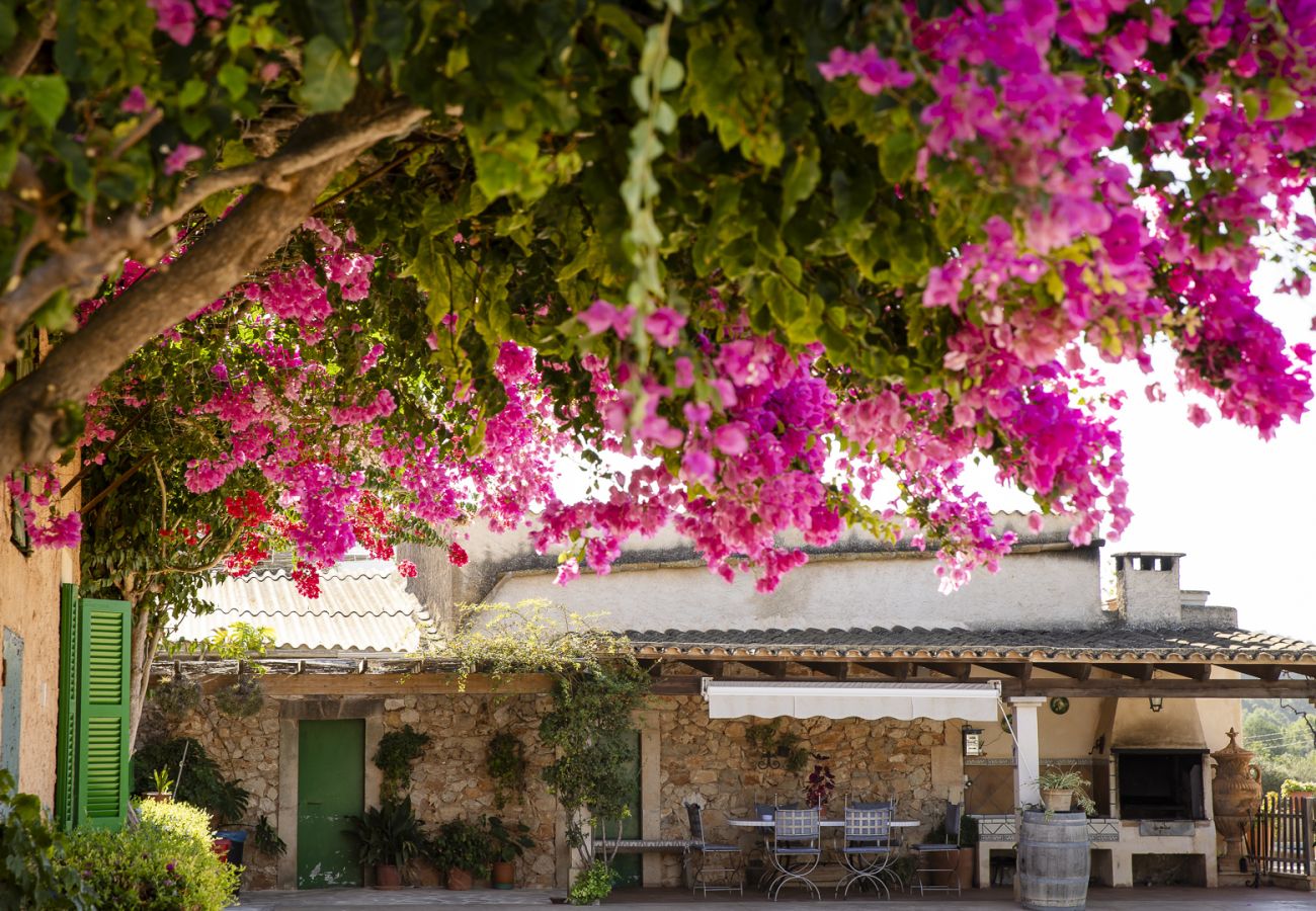 Villa in Felanitx - YourHouse Can Tries