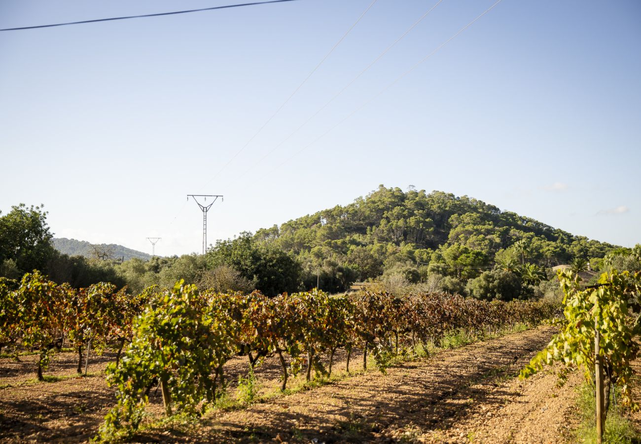 Villa in Felanitx - YourHouse Can Tries