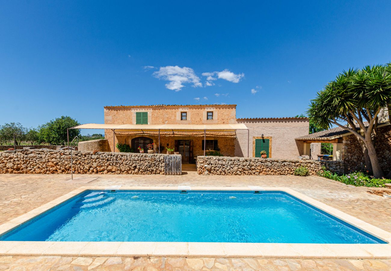Studio in Lloret de Vistalegre - YourHouse Agroturismo Can Porreti Es Colomer