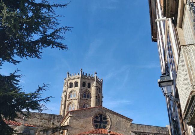 Apartment in Ourense - YourHouse Oasis Urbano Apartment in Ourense - YourHouse Oasis Urbano