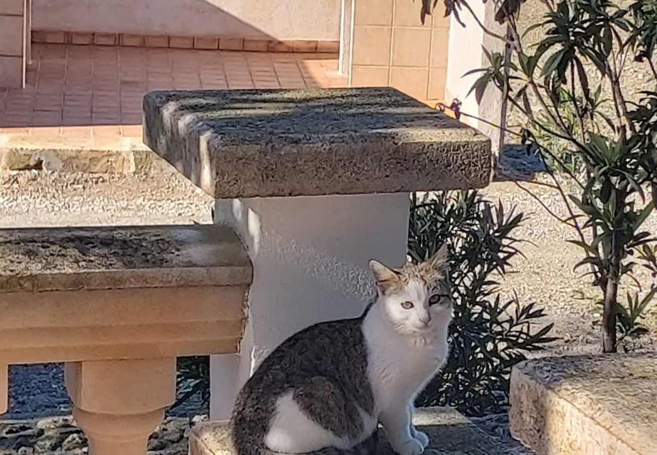 Farm stay in Santa Margalida - Agroturismo Buguemvillea